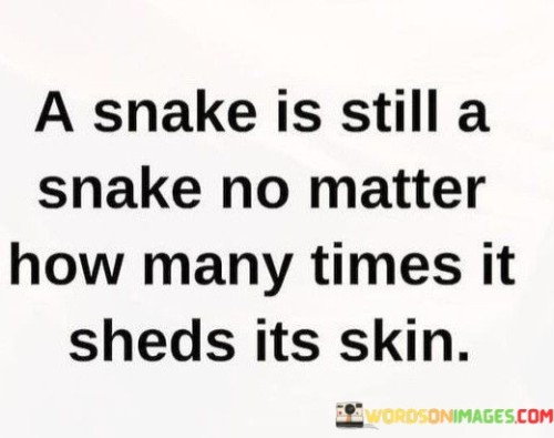 A-Snake-Is-Still-A-Snake-No-Matter-How-Many-Times-Quotes.jpeg