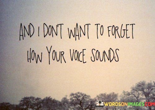 And-I-Dont-Want-To-Forget-How-Your-Voice-Sounds-Quotes.jpeg