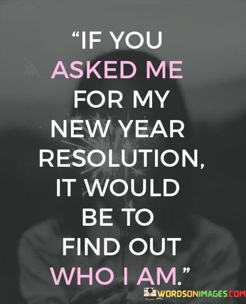 If-You-Asked-Me-For-My-New-Year-Resolution-Quotes.jpeg