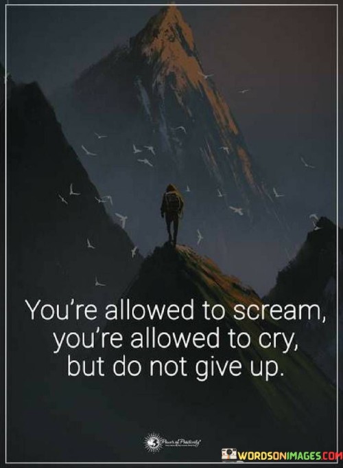 You're Allowed To Scream You're Allowed Quotes