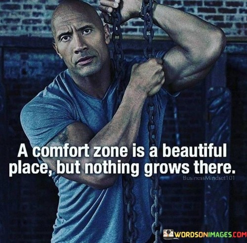 A-Comfort-Zone-Is-A-Beautiful-Place-But-Nothing-Quotes.jpeg