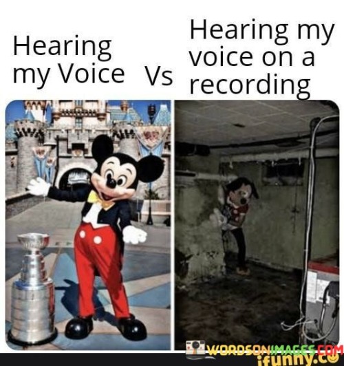 Hearing-My-Voice-Vs-Hearing-My-Voice-Quotes.jpeg