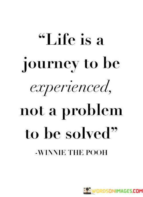 Life-Is-A-Journey-To-Be-Experienced-Not-A-Problem-To-Be-Solved-Quotes.jpeg