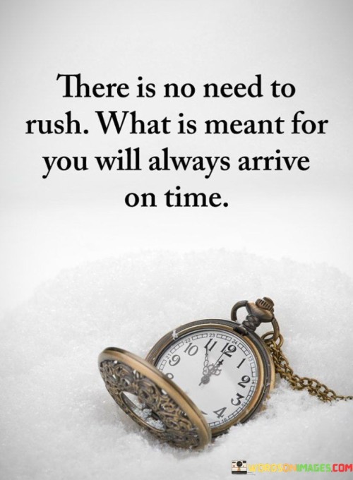 There Is No Need To Rush What Is Meant Quotes