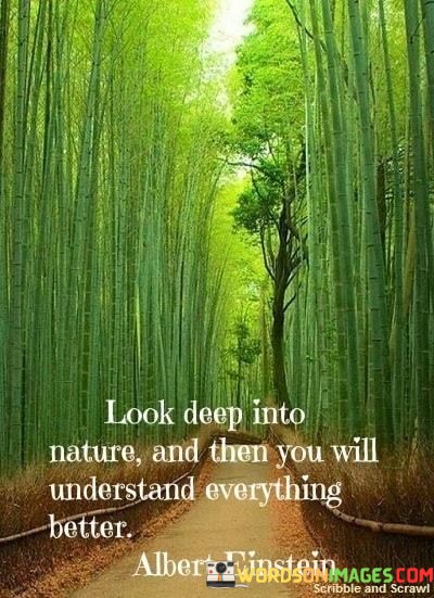 Look-Deep-Into-Nature-And-Then-You-Will-Understand-Everything-Better-Quotes.jpeg