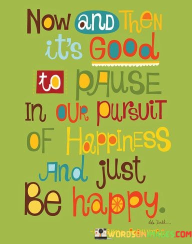 Now-And-Then-Its-Good-To-Pause-In-Our-Pursuit-Of-Happiness-Quotes.jpeg