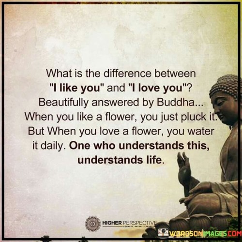 What Is The Difference Between I Like You And I Love You Quotes