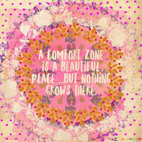 A Comfort Zone Is A Beautiful Place But Quotes