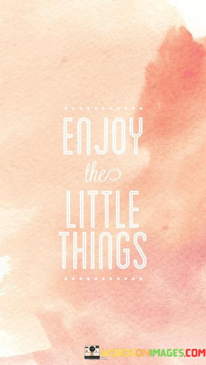 Enjoy-The-Little-Things-Quotes.jpeg