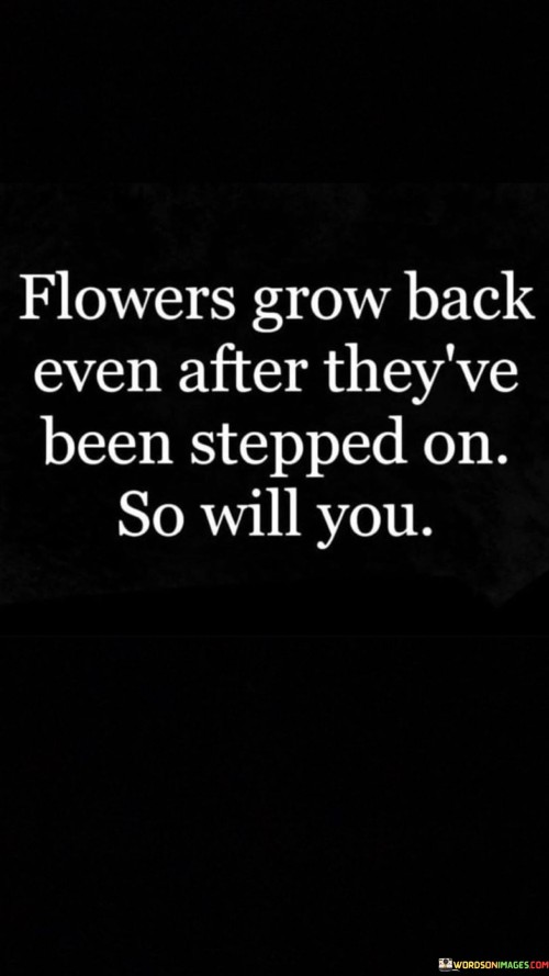 Flowers Grow Back Even After They've Been Stepped On So Will You Quotes