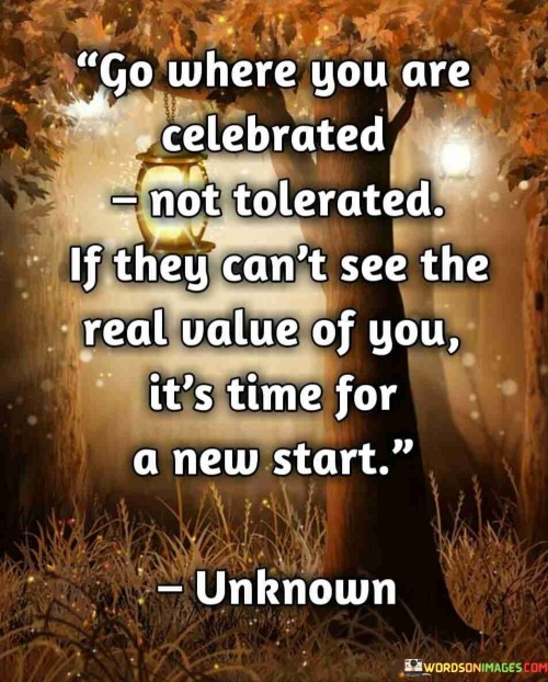 Go Where You Are Celebrated Not Tolerated If They Can't See The Real Value Quotes