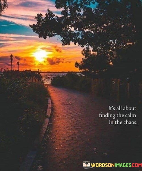 It's All About Finding The Calm In The Chaos Quotes