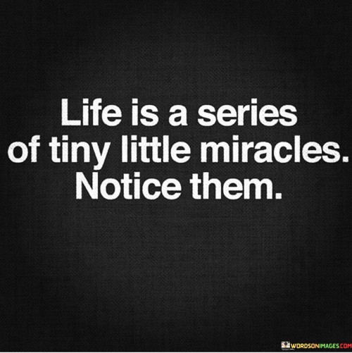 Life Is A Series Of Tiny Little Miracles Notice Them Quotes