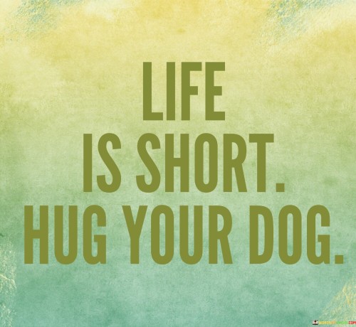 Life Is Short Hug Your Dog Quotes