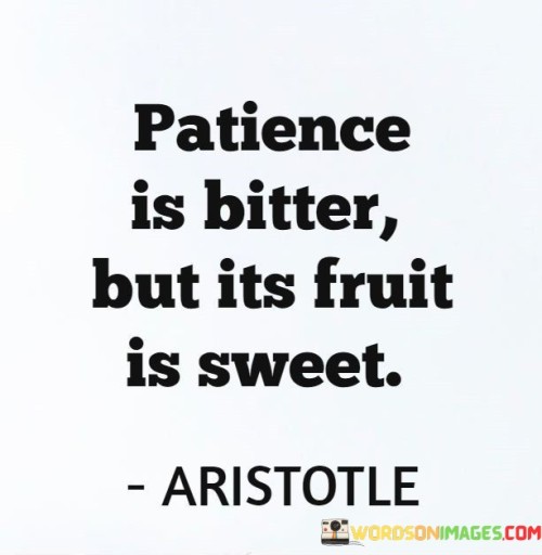 Patience-Is-Bitter-But-Its-Fruit-Is-Sweet-Quotes