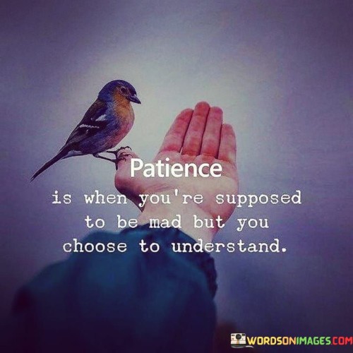 Patience Is When You're Supposed To Be Quotes