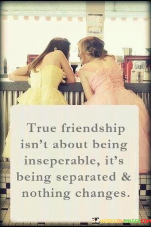 True Friendship Isn't About Being Inseperable It's Quotes