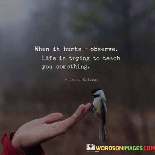 When It Hurts Observe Life Is Trying To Teach Quotes