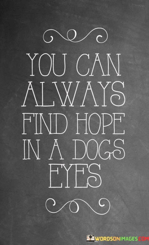 You-Can-Always-Find-Hope-In-A-Dogs-Eyes-Quotes.jpeg