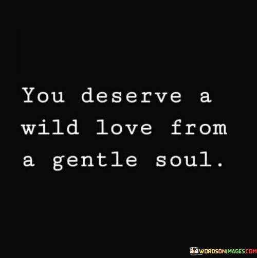 You Deserve A Wild Love From A Gentle Soul Quotes