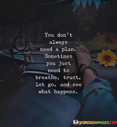 You-Dont-Always-Need-A-Plan-Quotes.jpeg