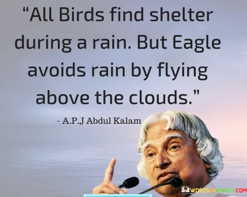 All-Birds-Find-Shelter-During-A-Rain-Quotes.jpeg