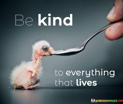 Be Kind To Everything That Lives Quotes