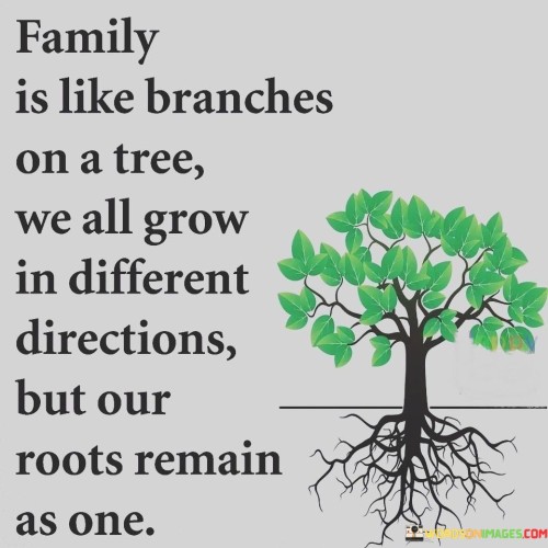 Family Is Like Branches On A Tree Quotes