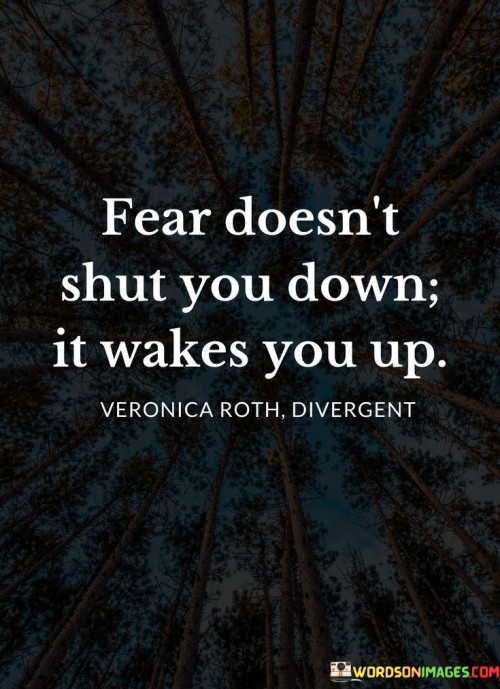 Fear-Doesnt-Shut-You-Down-It-Wakes-Quotes.jpeg