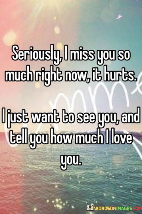 Seriously-I-Miss-You-So-Much-Right-Now-It-Hurts-Quotes.jpeg