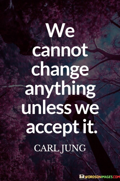 We Cannot Change Anything Unless We Accept It Quotes