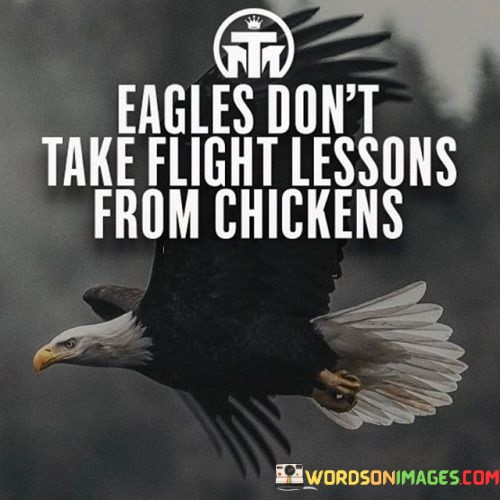 Eagles-Dont-Take-Flight-Lessons-From-Chickens-Quotes.jpeg