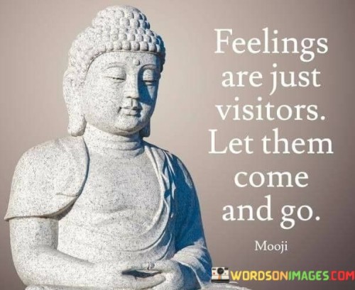 Feelings Are Just Visitors Let Them Come And Go Quotes