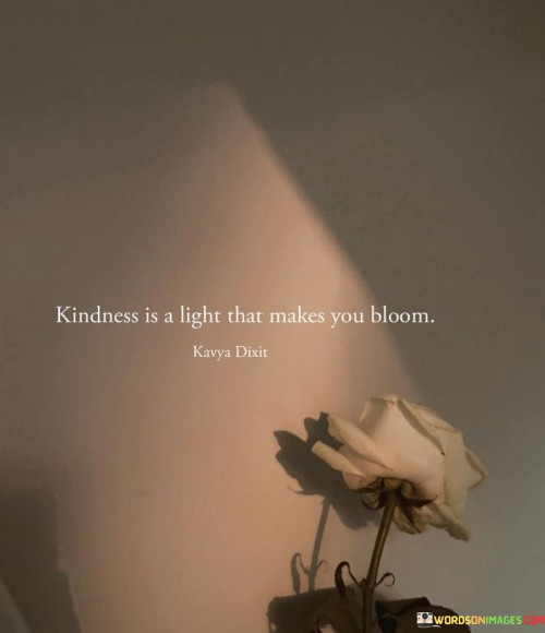 Kindness Is A Light That Makes Quotes