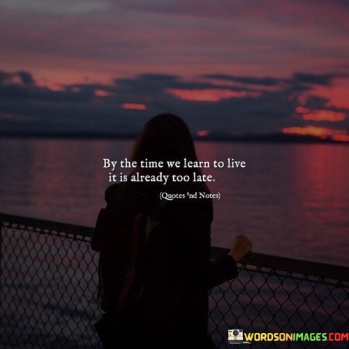 By The Time We Learn To Live It Is Already Quotes