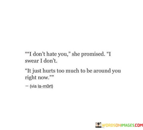 I-Dont-Hate-You-She-Promised-I-Swear-I-Dont-It-Just-Hurts-Quotes.jpeg