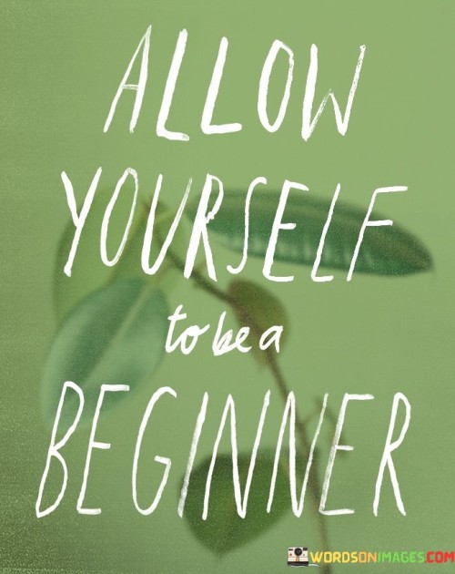 Allow-Yourself-To-Be-A-Beginner-Quotes.jpeg