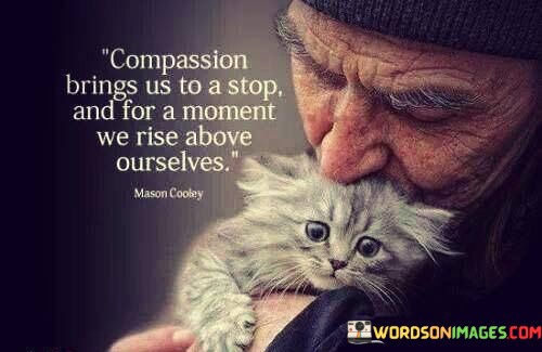 Compassion-Brings-Us-To-A-Stop-And-For-A-Moment-We-Rise-Quotes.jpeg