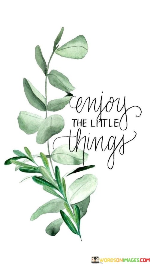 Enjoy-The-Little-Things-Quotes.jpeg