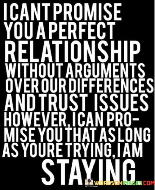 I-Cant-Promise-You-A-Perfect-Relationship-Without-Arguments-Quotes.jpeg