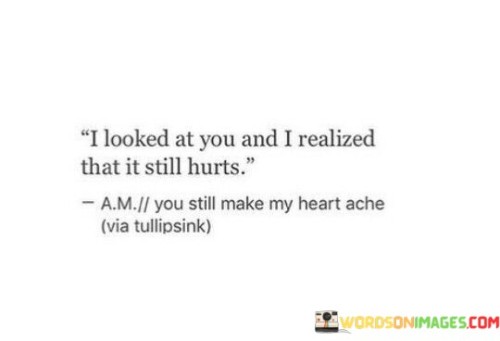 I Looked At You And I Realized That It Still Hurts Quotes