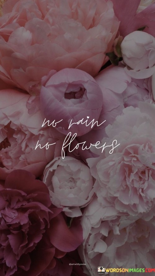 No-Rain-No-Flowers-Quotes.jpeg
