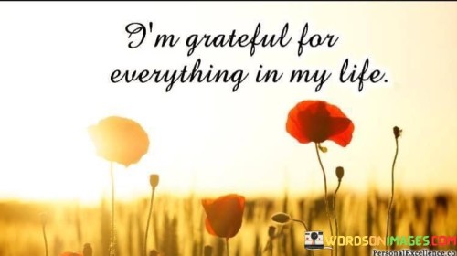 I'm Grateful For Everything In My Life Quotes