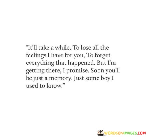 Itll-Take-A-While-To-Lose-All-The-Feelings-I-Have-For-You-To-Forget-Quotes.jpeg