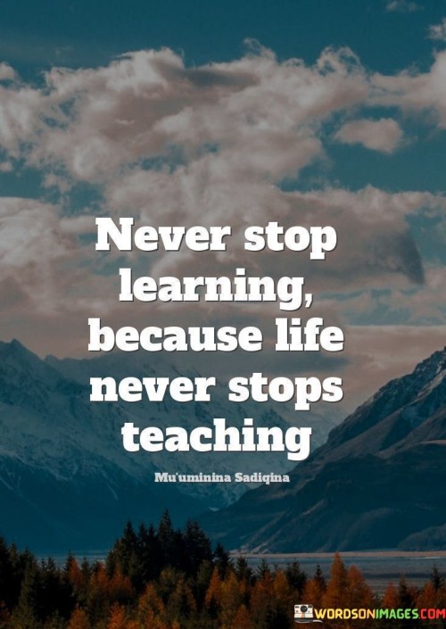 Never Stop Learning Because Life Never Stop Teaching Quotes