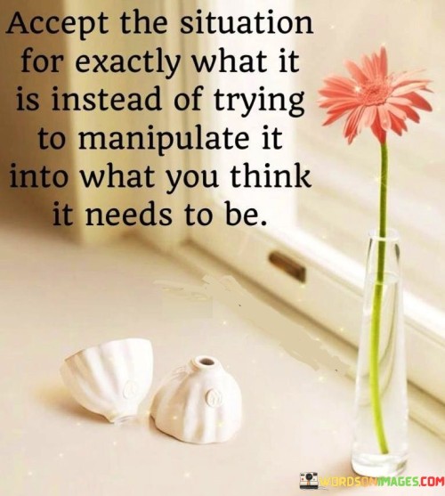 Accept-The-Situation-For-Exactly-What-It---Copy-Quotes.jpeg
