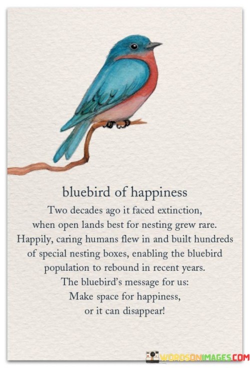 Bluebird-Of-Happiness-Two-Decades-Quotes.jpeg