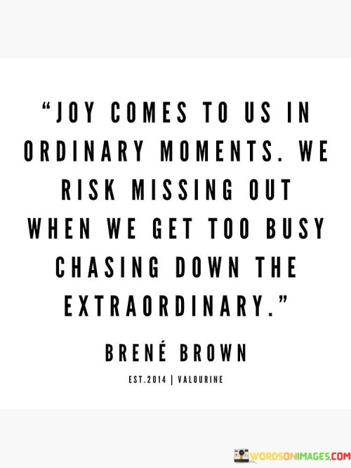 Joy Comes To Us In Ordinary Moments Quotes