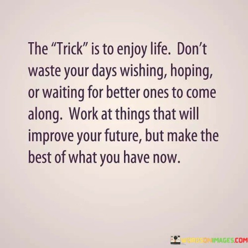 The Trick Is To Enjoy Life Don't Waste Your Quotes