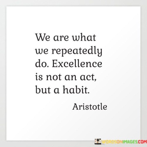 We Are What We Repeatedly Do Excellence Is Not An Act Quotes